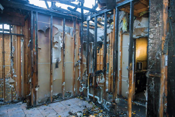 Professional Fire Damage Repair technician working in Helena West Side, MT